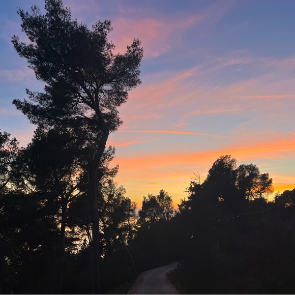 Meet the Poshers - Picture 1 of 1